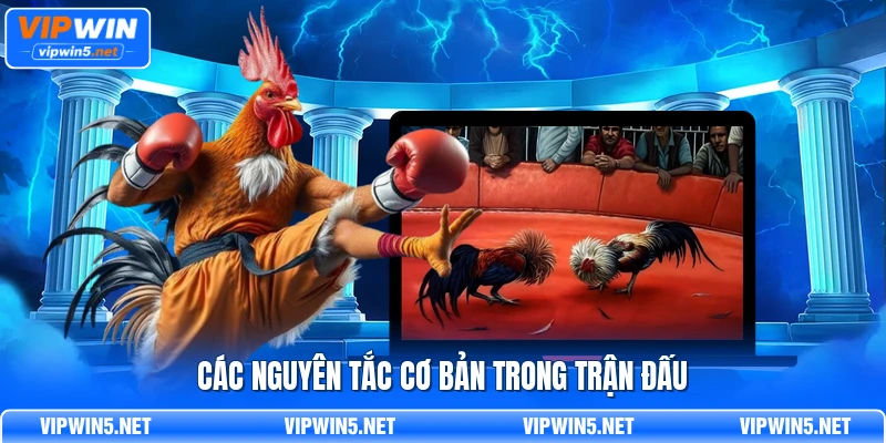 Các nguyên tắc cơ bản trong trận đấu