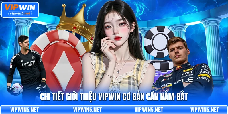 Chi tiết giới thiệu VIPWIN cơ bản cần nắm bắt