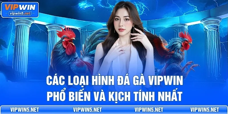 Các loại hình đá gà VIPWIN phổ biến và kịch tính nhất