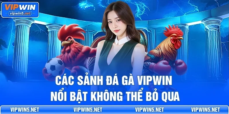 Các sảnh đá gà VIPWIN nổi bật không thể bỏ qua